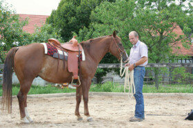 betriebshaftpflichtversicherung-pferdewirt-pferdebetriebe
